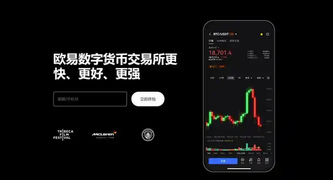 偶yi交易平台平台展示图